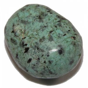 african turquoise-500x500
