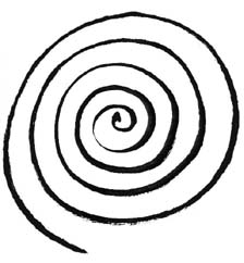 spiral-crop